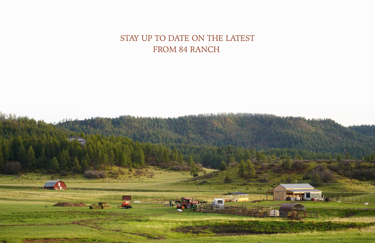84 Ranch | Luxury Farm Stays & Pasture Pork | Pagosa Springs, Colorado