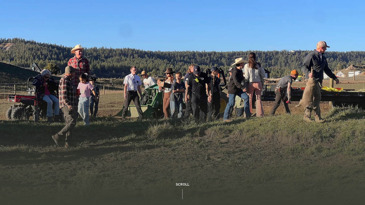 84 Ranch festival