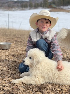 Colorado Mountain Dog Deposit