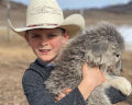 Colorado Mountain Dog Deposit